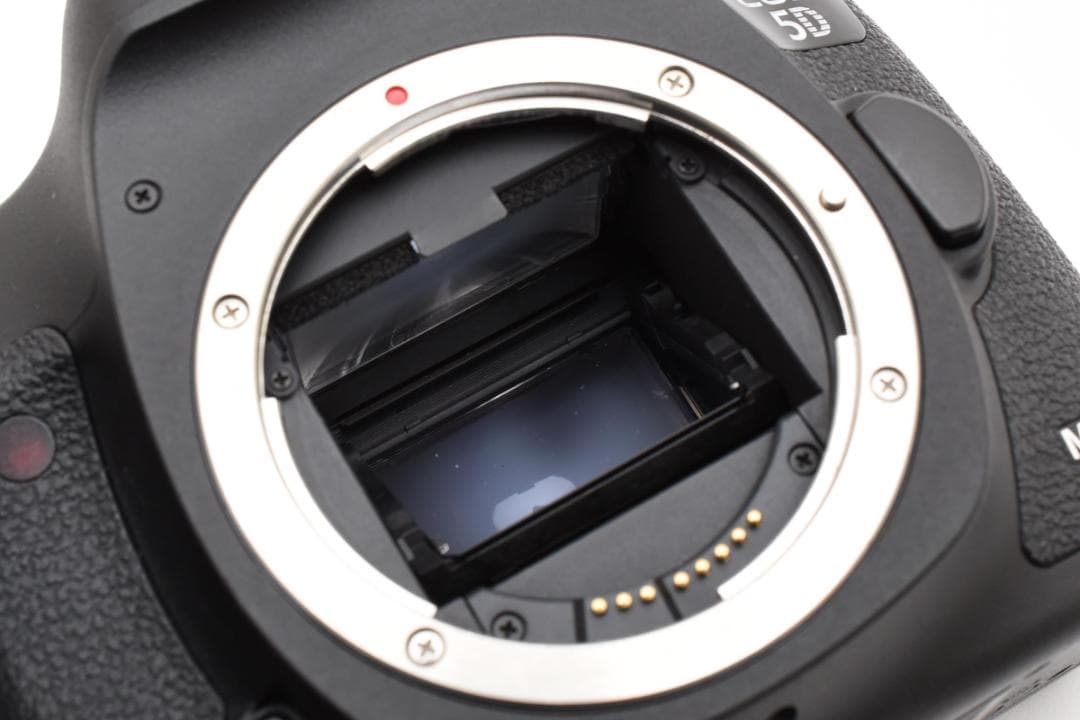 [動作確認済] Canon EOS5D Mark3 シャッター数:30401