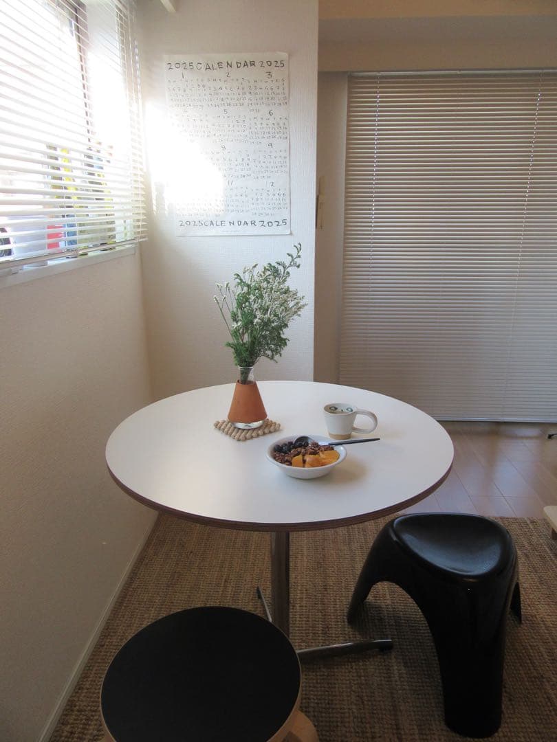 タチカワブラインド　ブラインドカーテン　185cm×188cm 立川機工