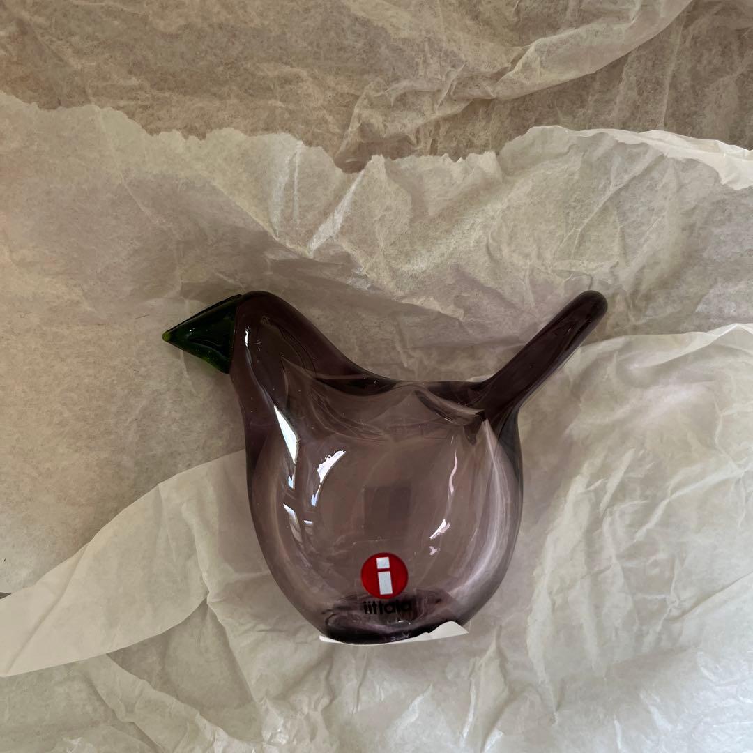  シエッポ　カルーナ×グリーン