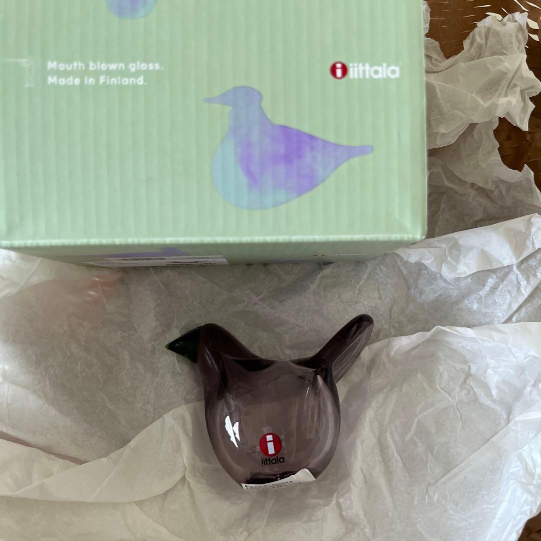  シエッポ　カルーナ×グリーン