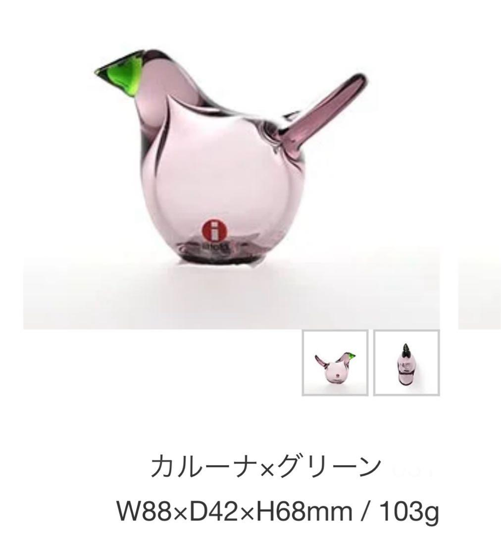  シエッポ　カルーナ×グリーン