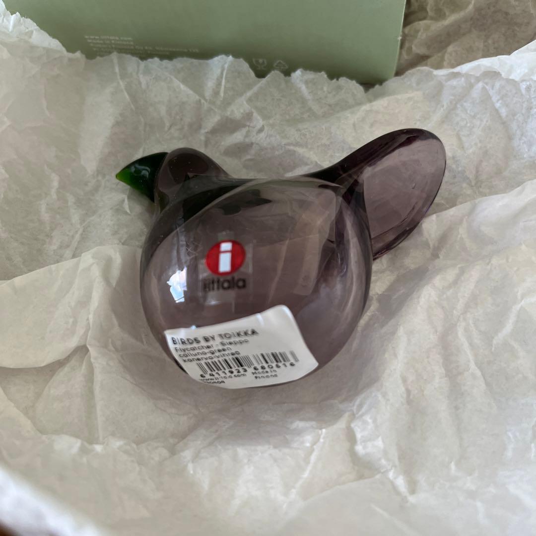  シエッポ　カルーナ×グリーン