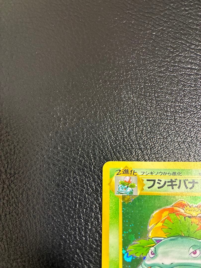 旧裏　フシギバナ