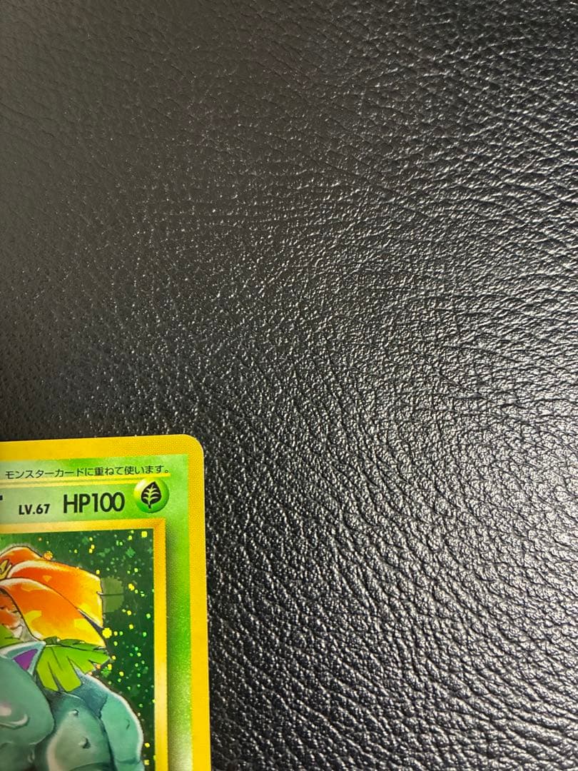 旧裏　フシギバナ