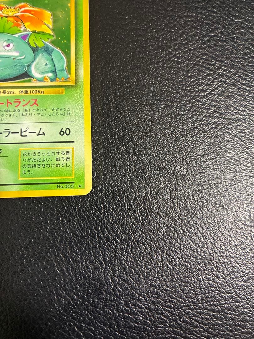 旧裏　フシギバナ