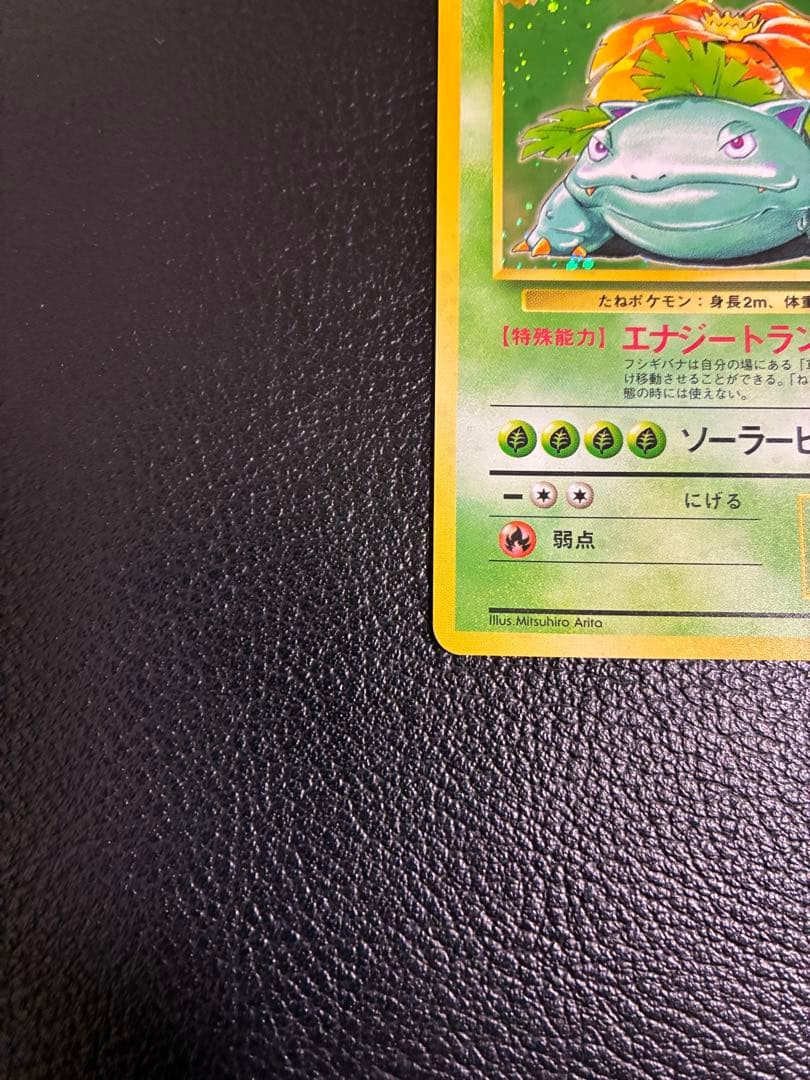 旧裏　フシギバナ