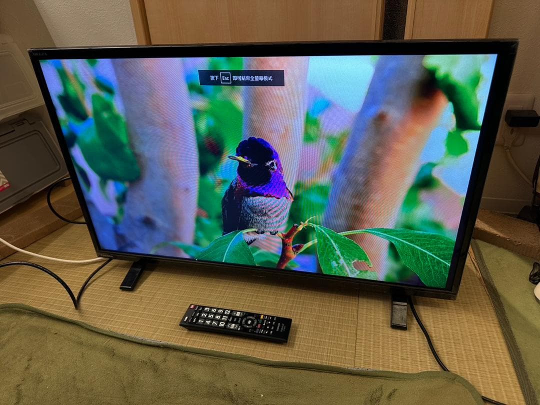 2024年製超美品！TOSHIBA 東芝 液晶テレビ　32S24　32型
