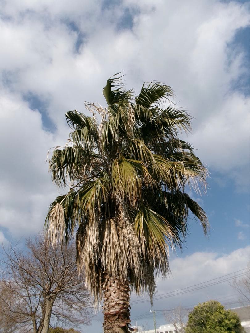 【動作確認済み】Kodak PIXPRO FZ55 ブラック 黒 付属品完備