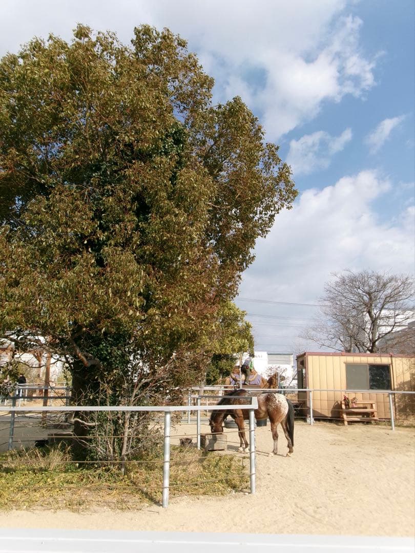 【動作確認済み】Kodak PIXPRO FZ55 ブラック 黒 付属品完備