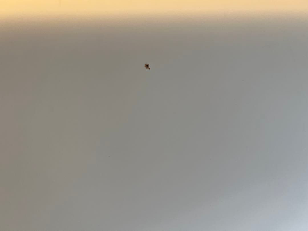 引取り限定⭐︎IKEA STUVA ロフトベッド ピンク