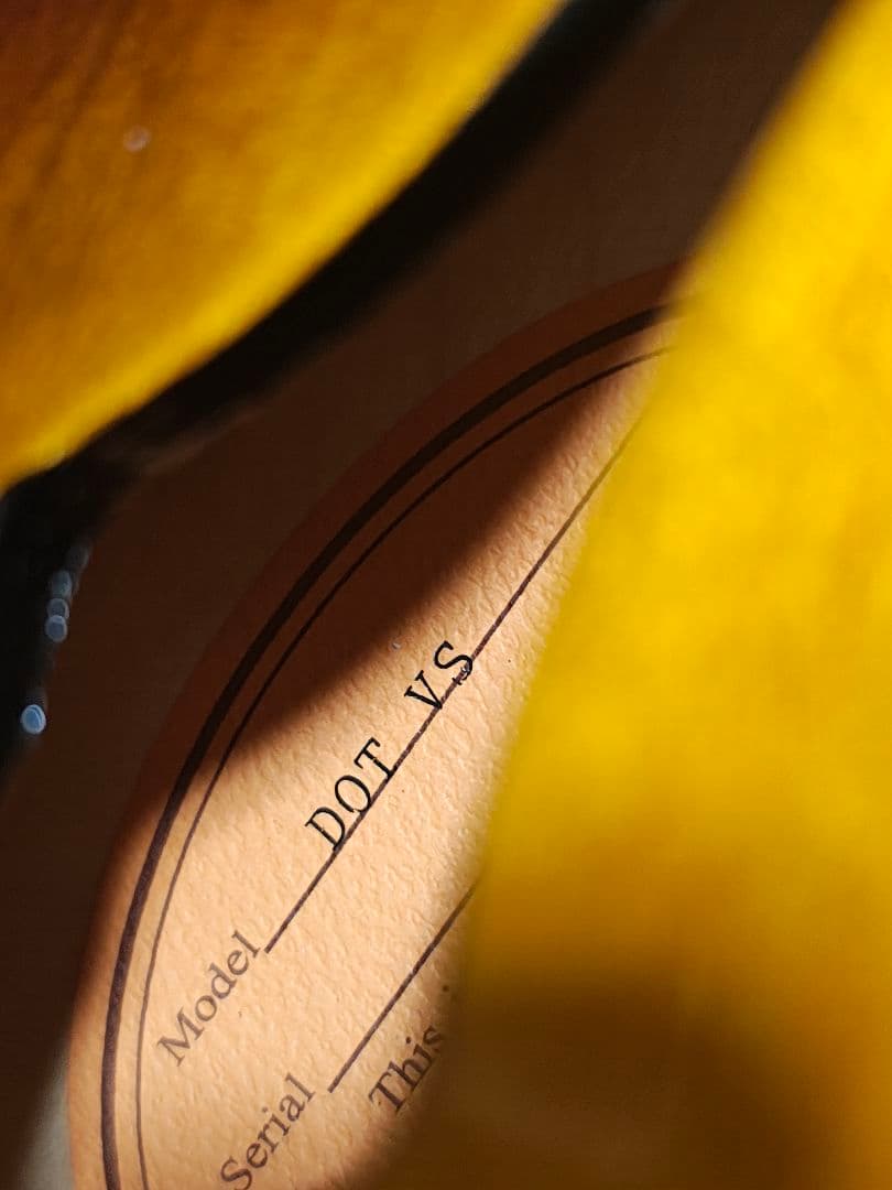 Epiphone ES-335 Dot/極美品ソフトケース付