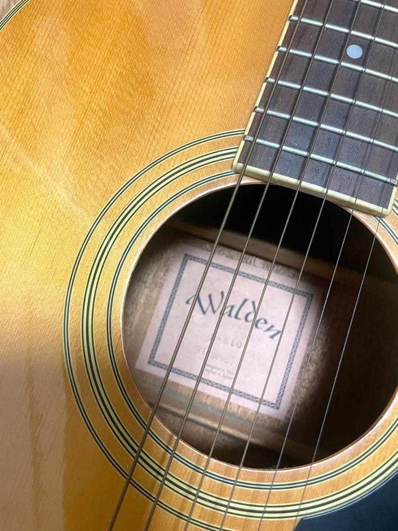 Walden アコースティックギター