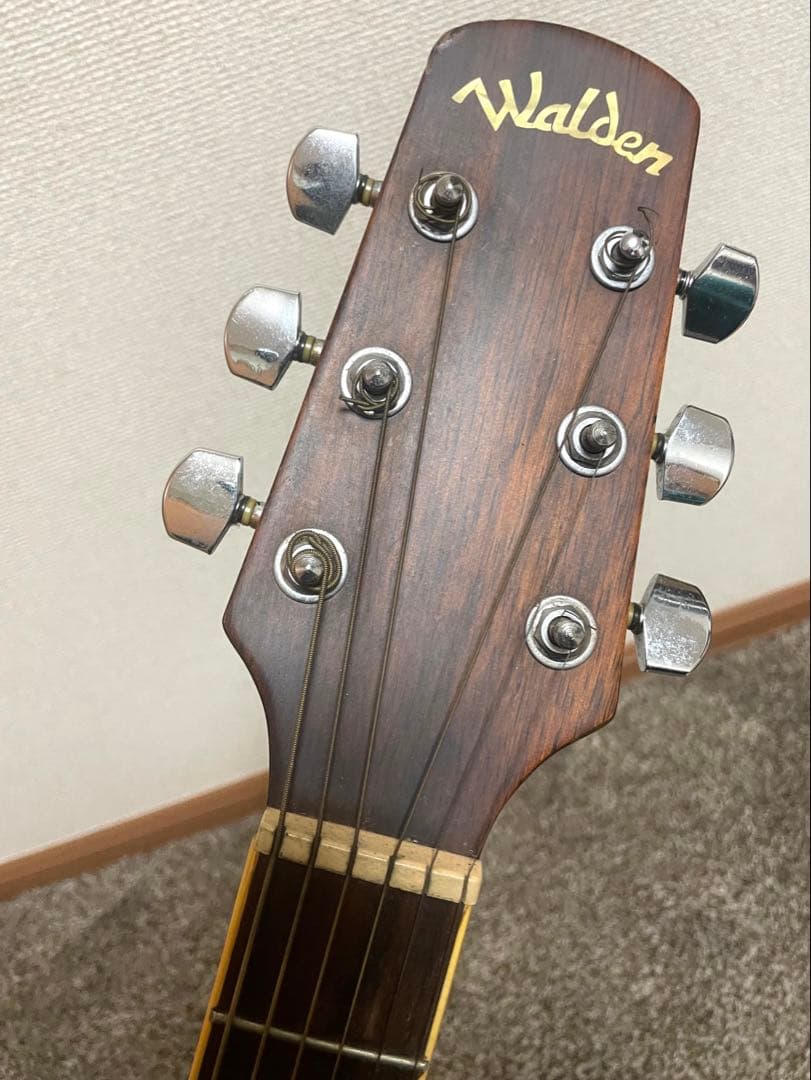 Walden アコースティックギター