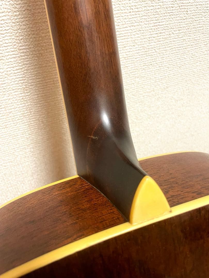 Walden アコースティックギター