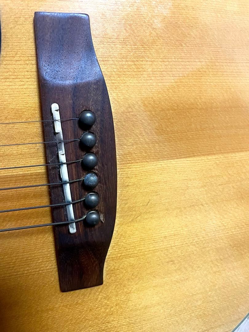 Walden アコースティックギター