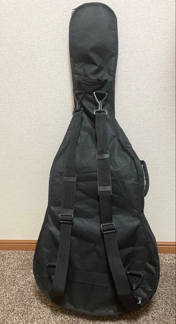 Walden アコースティックギター