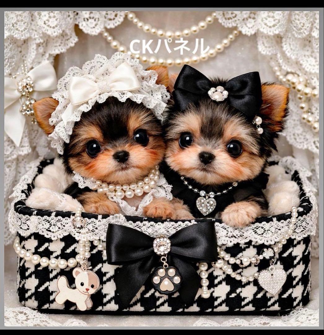 ❤️オーダー製作お受付用　確認用生地一部 311❤️