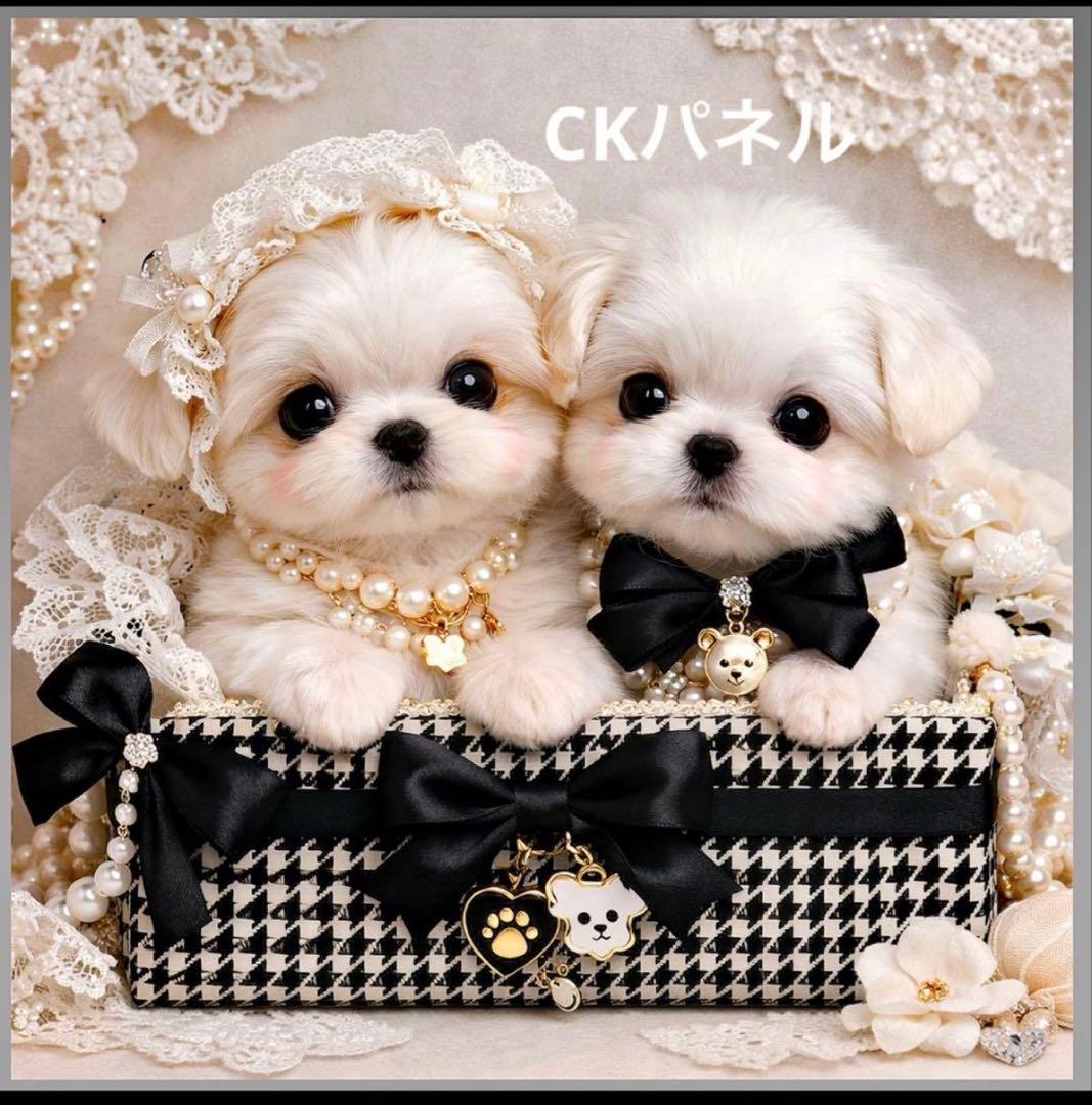 ❤️オーダー製作お受付用　確認用生地一部 311❤️