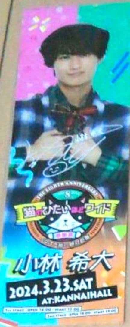 猫のひたいほどワイド　猫ひた　小林