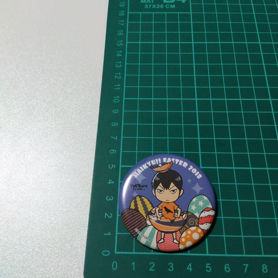 【ハイキュー!!】影山飛雄 J-WORLD イースター 缶バッジ