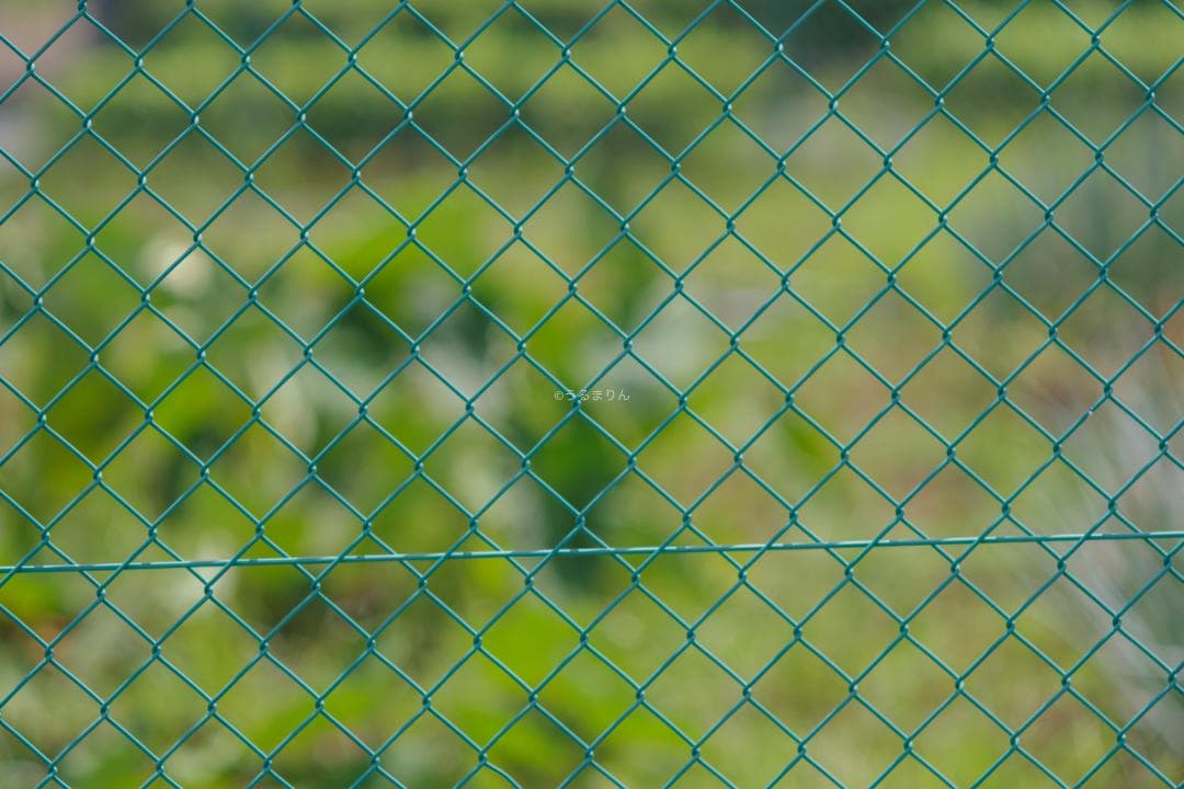 バケペン望遠！SMC Takumar 6x7 200mm F4