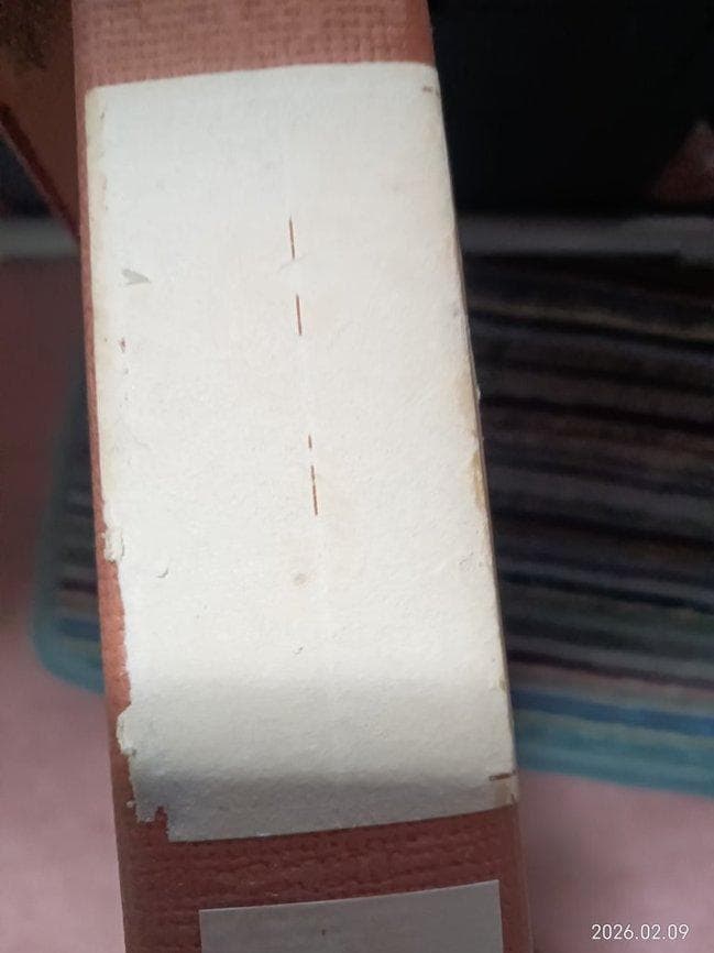 中山忠彦作　銅版画　「首飾りの美女」　額付　サイン有　真作保証品