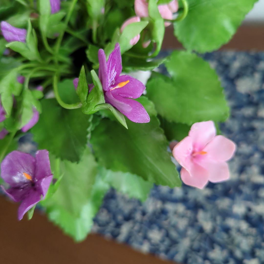 クレイフラワースミレの花束