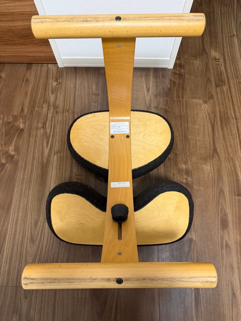 バランスチェア•イージー（黒）＋専用カバー（赤）