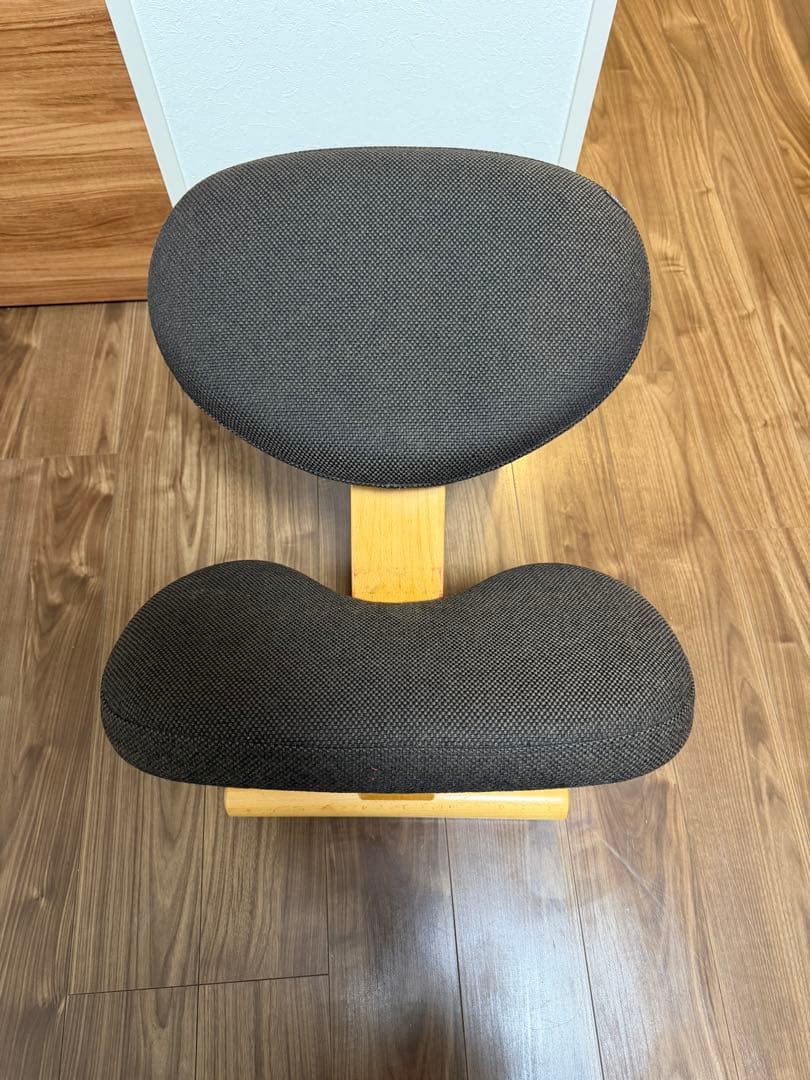 バランスチェア•イージー（黒）＋専用カバー（赤）