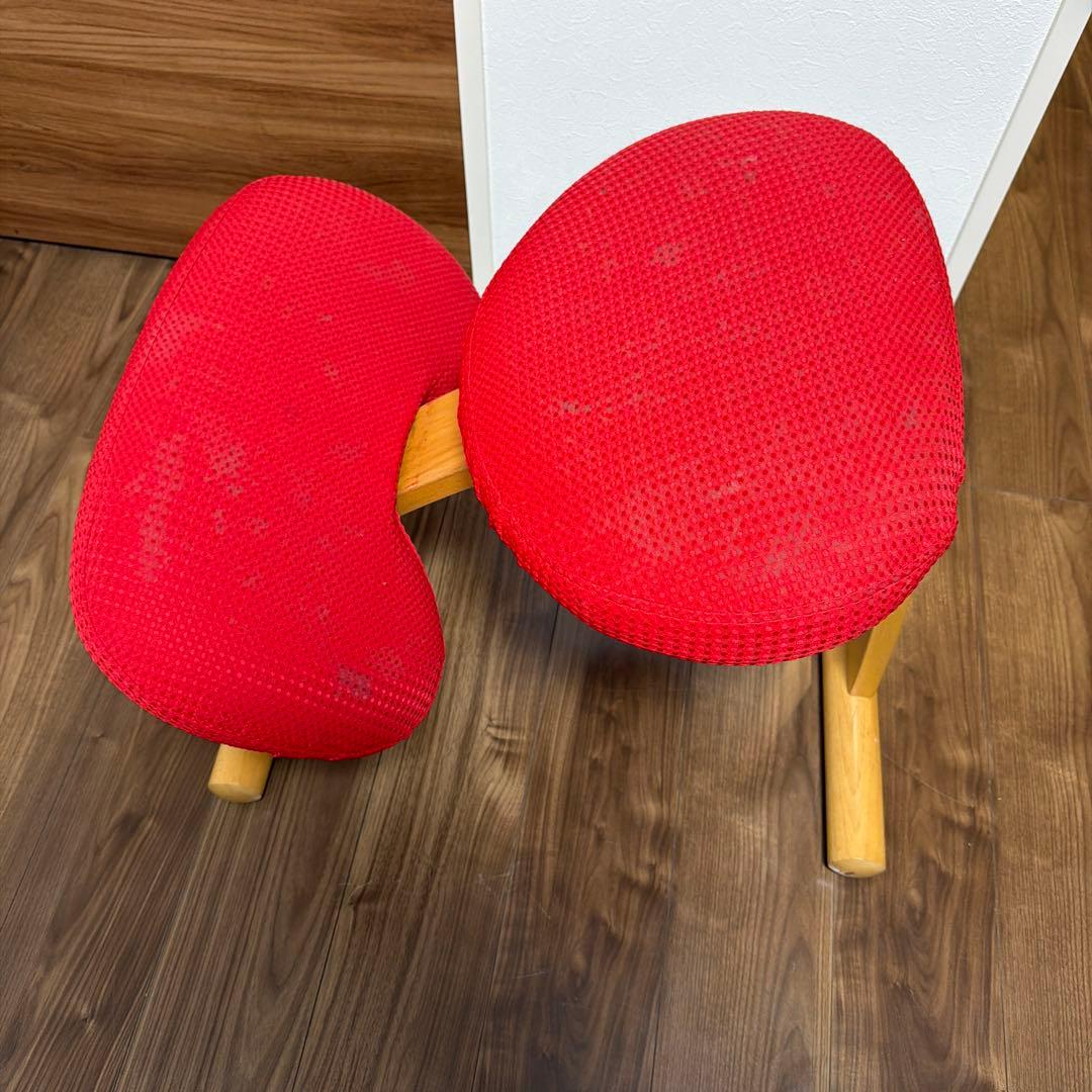 バランスチェア•イージー（黒）＋専用カバー（赤）