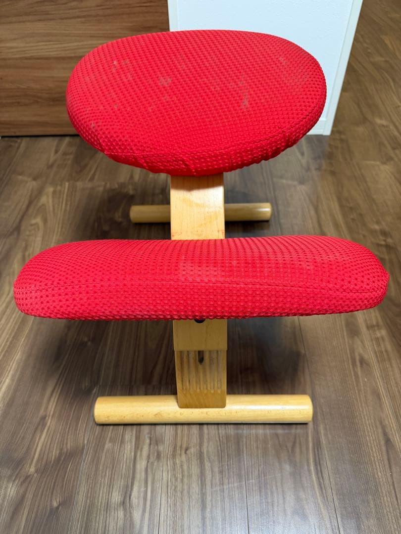 バランスチェア•イージー（黒）＋専用カバー（赤）