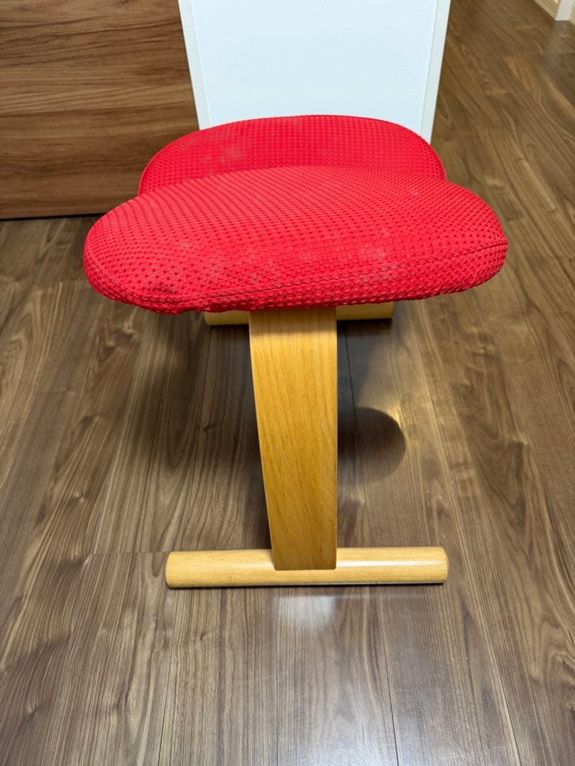 バランスチェア•イージー（黒）＋専用カバー（赤）