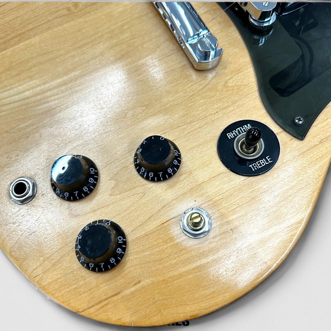 ギター Gibson SG Special Raw Power