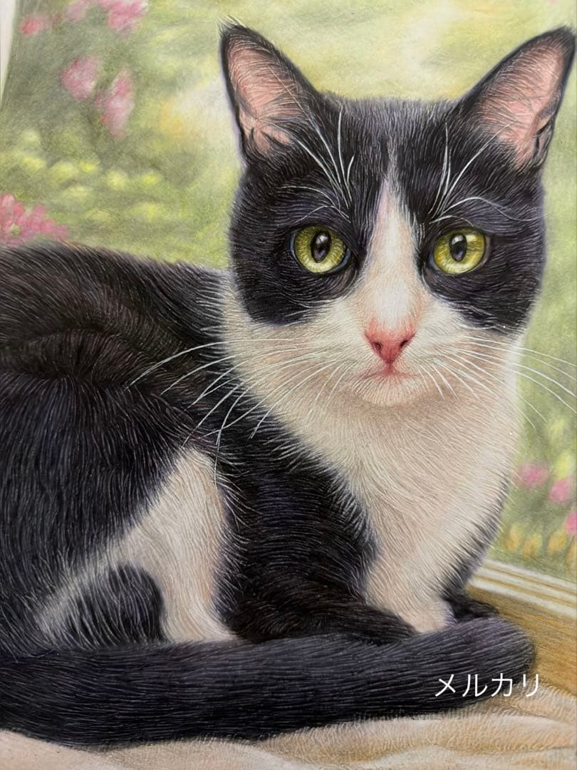 色鉛筆画A4 窓辺のハチワレ猫.5