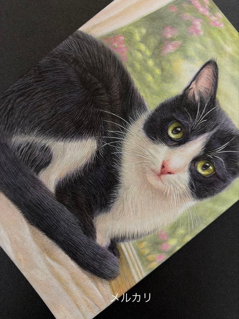 色鉛筆画A4 窓辺のハチワレ猫.5