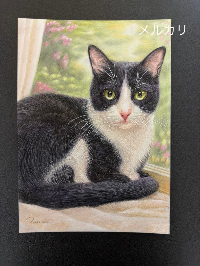色鉛筆画A4 窓辺のハチワレ猫.5