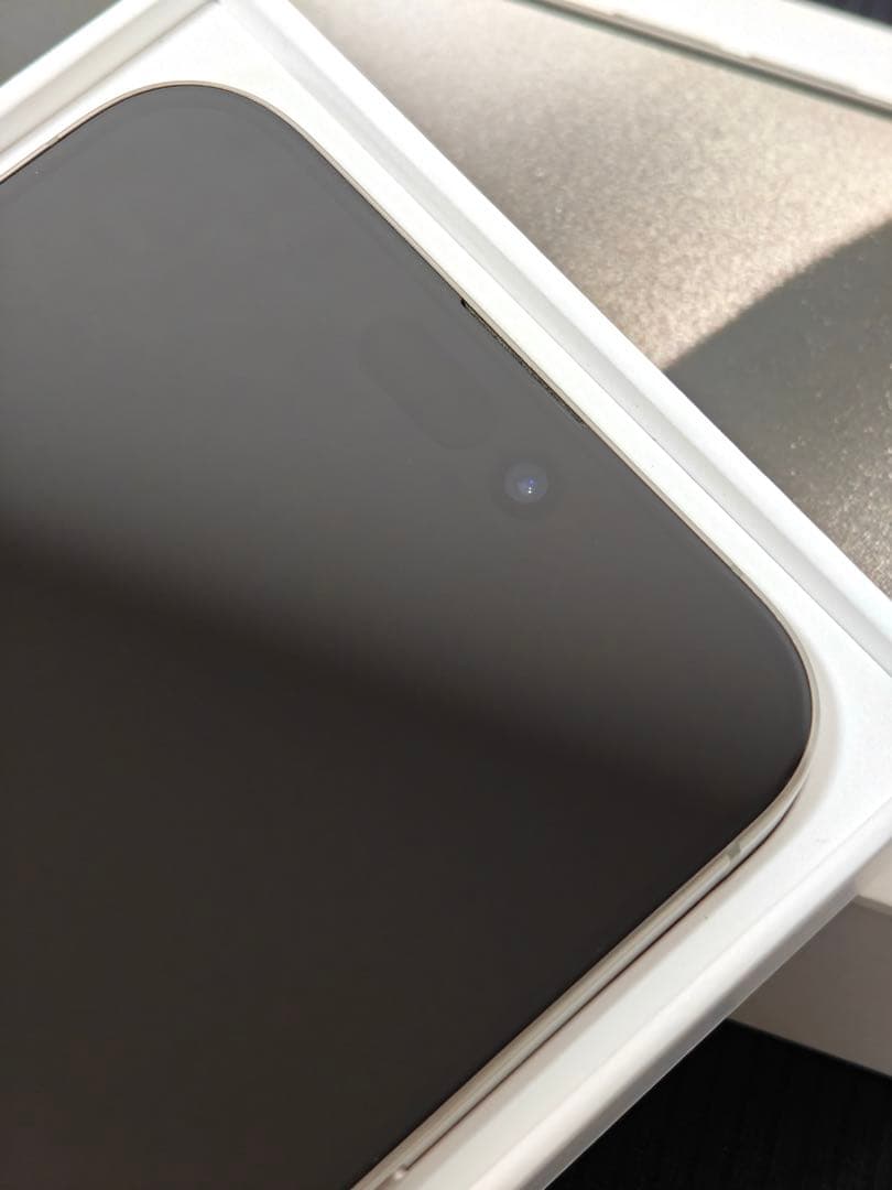 【極美品】iPhone 15 Pro Max 512GB 海外版 eSIM