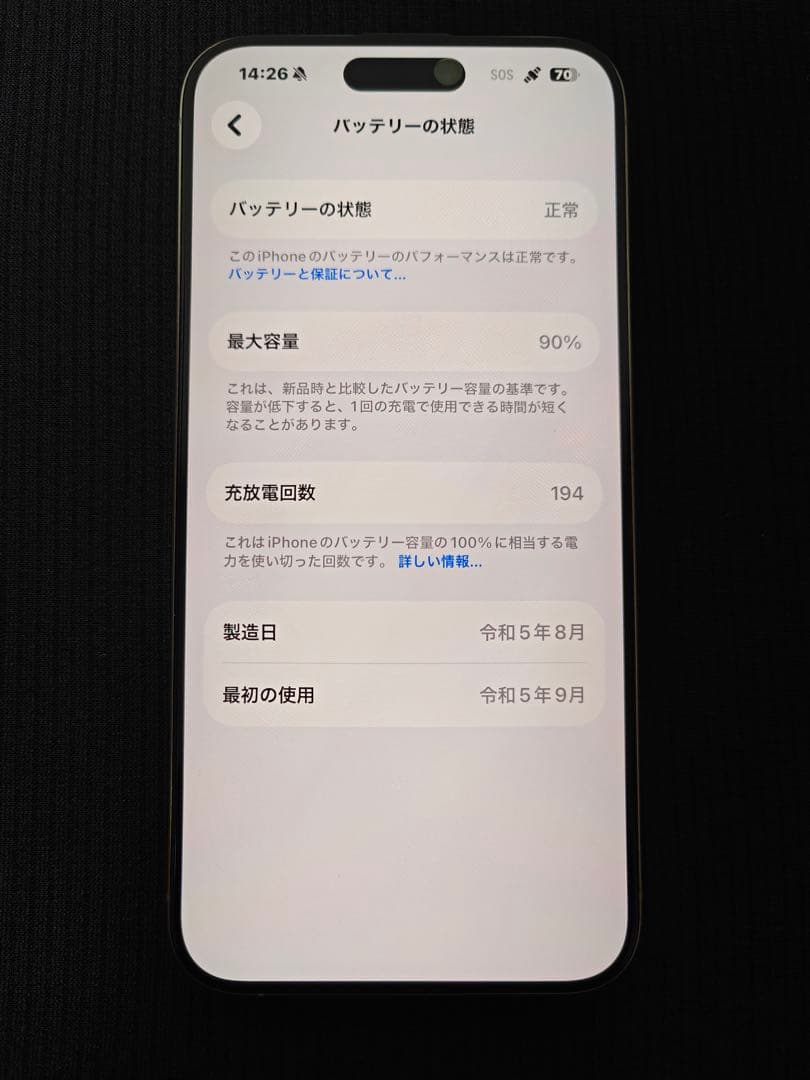 【極美品】iPhone 15 Pro Max 512GB 海外版 eSIM