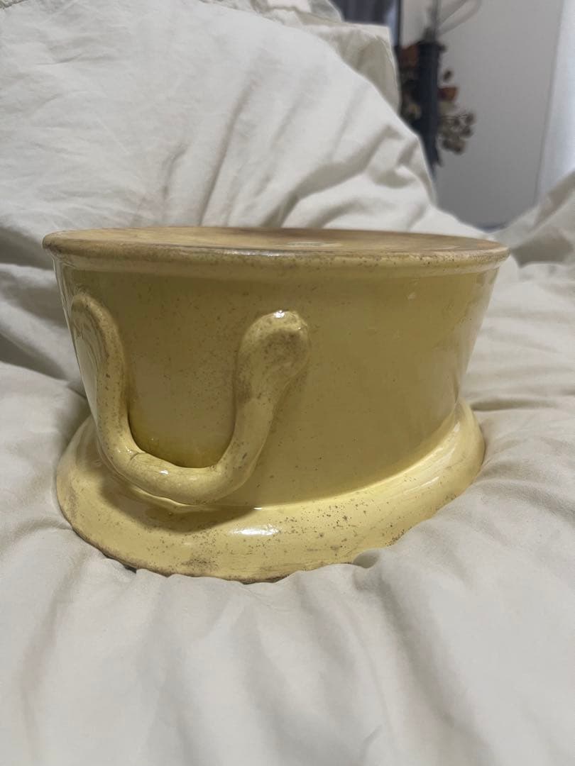 フランスアンティーク　Sarreguemines サルグミンヌ　テリーヌポット