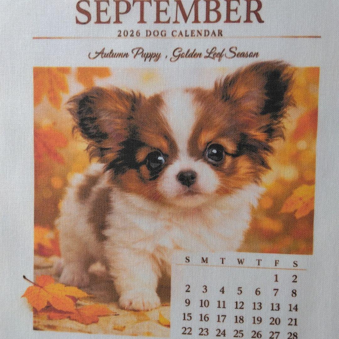 ☆受付☆パピヨン