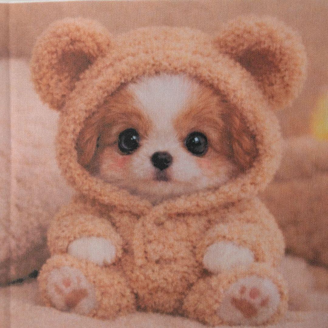 ☆受付☆パピヨン