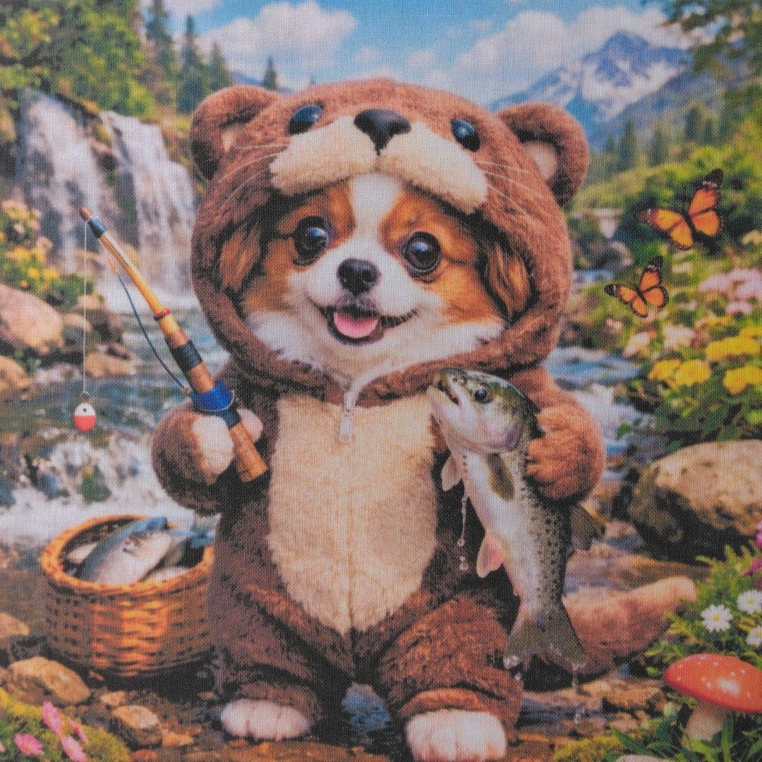 ☆受付☆パピヨン