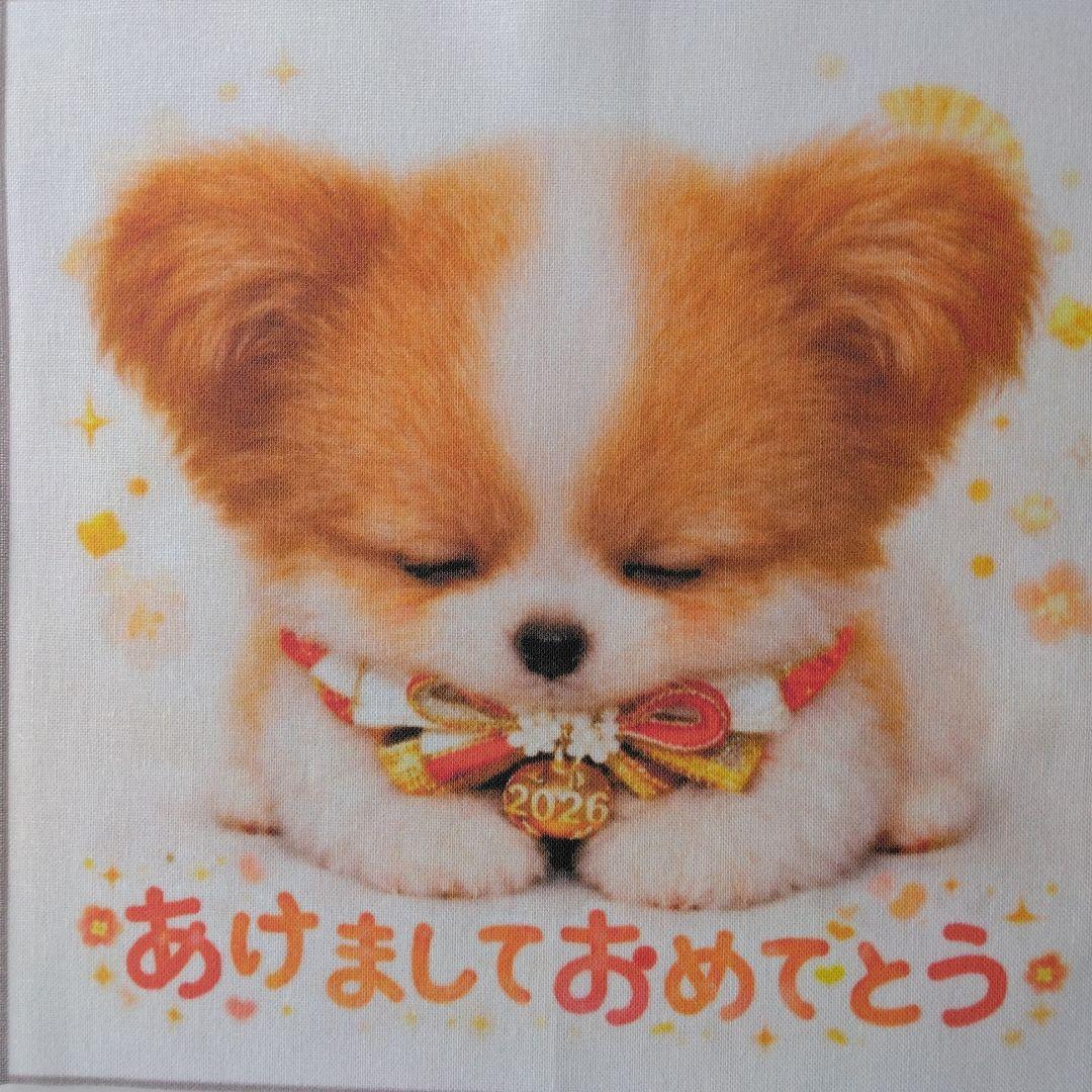 ☆受付☆パピヨン