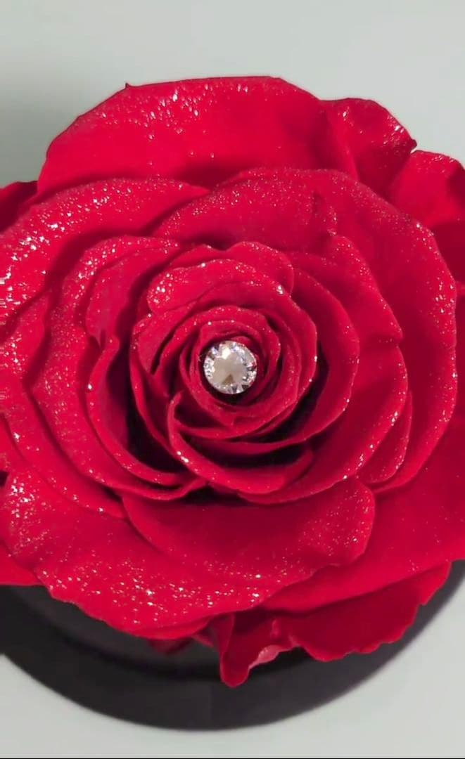 ❣️母の日❣️✨希少　ダイヤモンドローズ　赤薔薇　プリザーブドフラワー