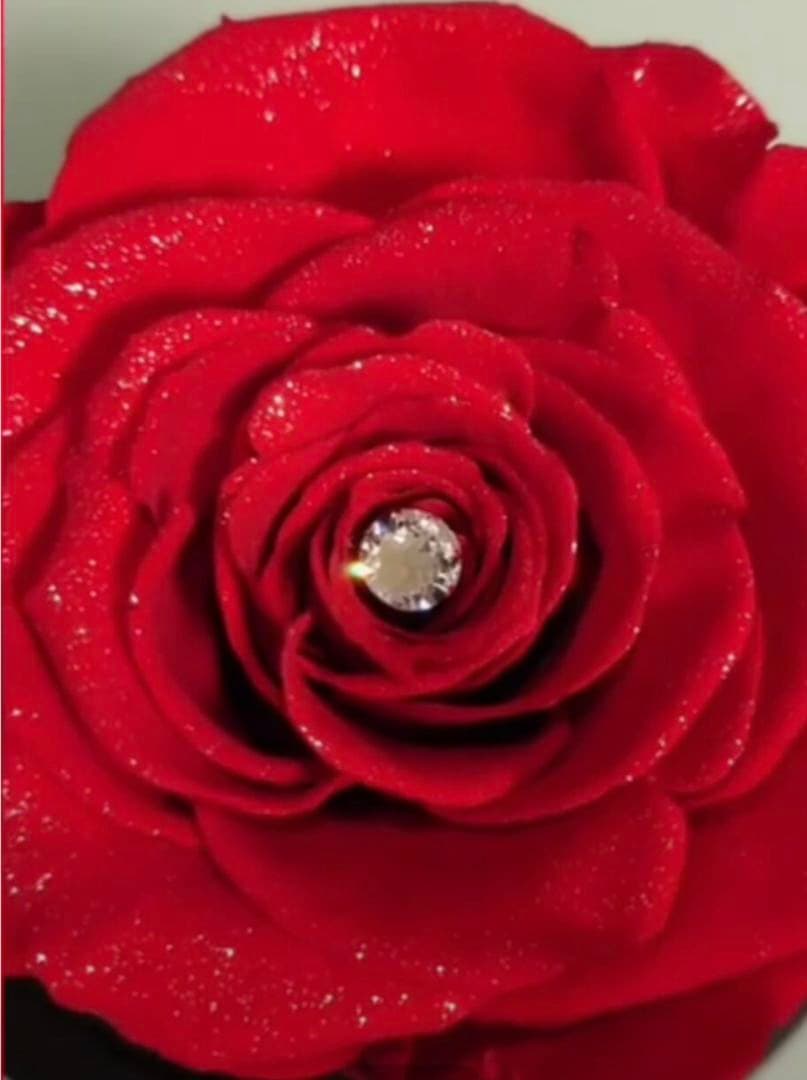 ❣️母の日❣️✨希少　ダイヤモンドローズ　赤薔薇　プリザーブドフラワー