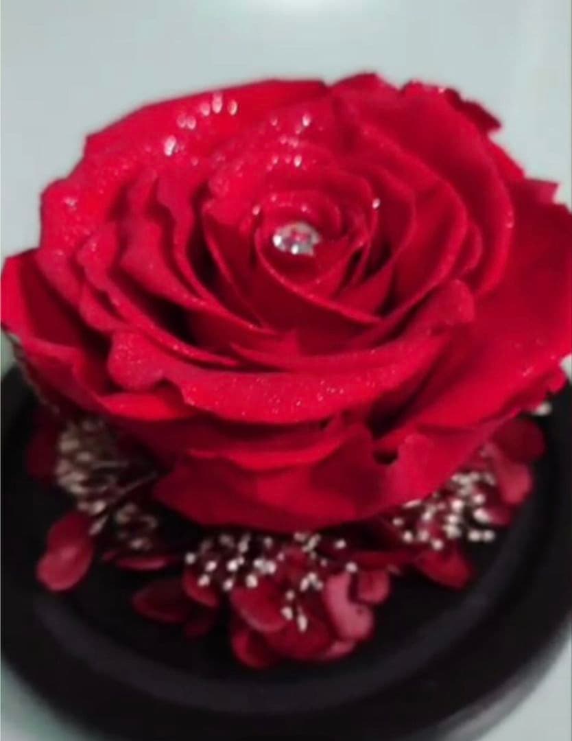 ❣️母の日❣️✨希少　ダイヤモンドローズ　赤薔薇　プリザーブドフラワー