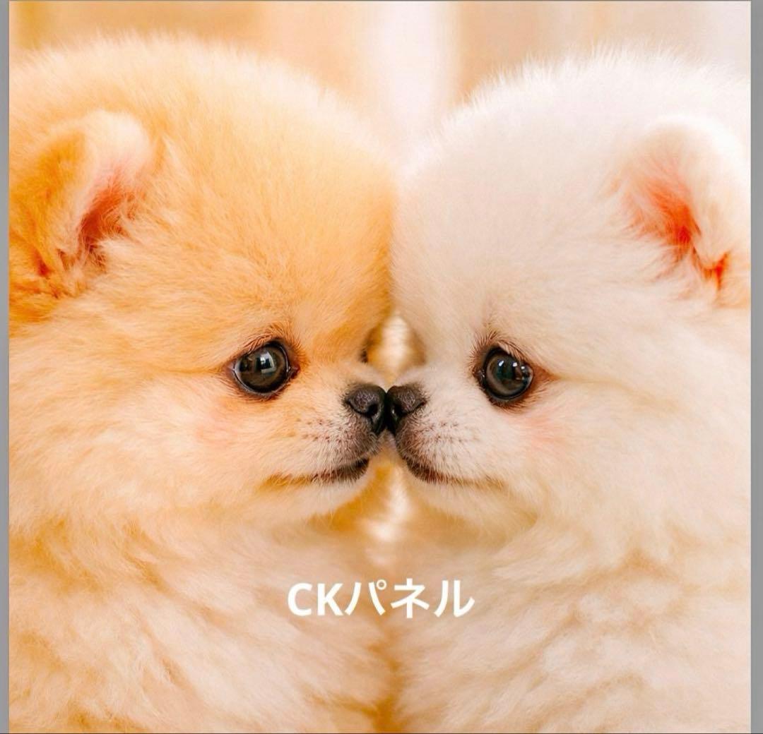 ╰(*´︶`*)╯様 リクエスト