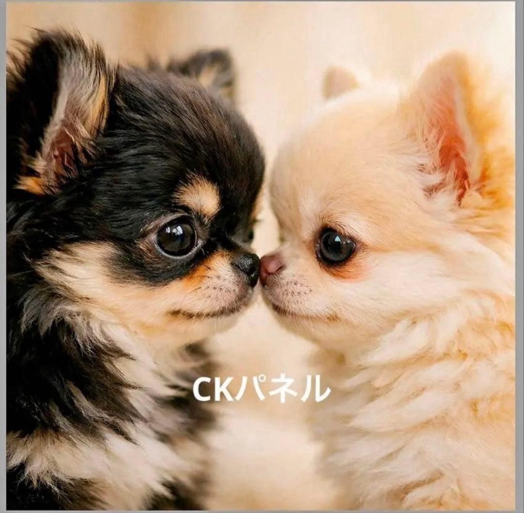 ╰(*´︶`*)╯様 リクエスト