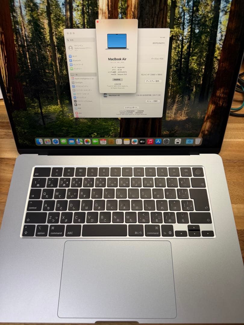 美品 MacBook Air 256GB メモリ16GB M4 15インチ