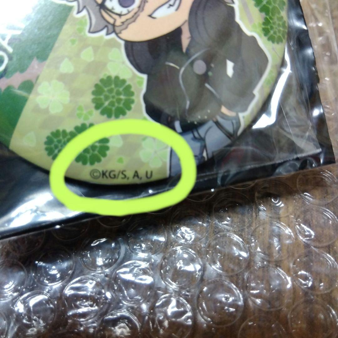 実弥 ソニー ２点セット アクリルキーホルダー 缶バッジ SONY 中国限定